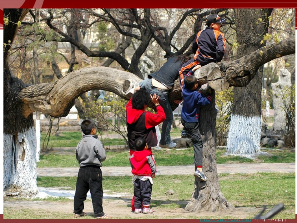 12小行为大环境_第3页