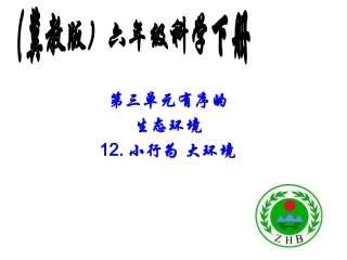 12小行为大环境