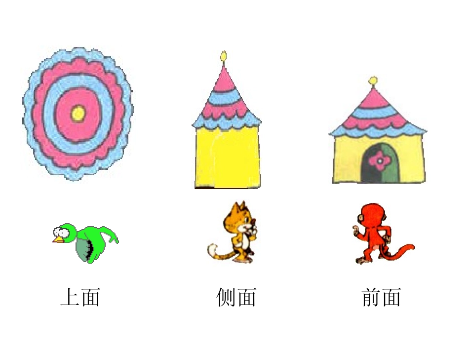 信息窗(观察物体)_第3页