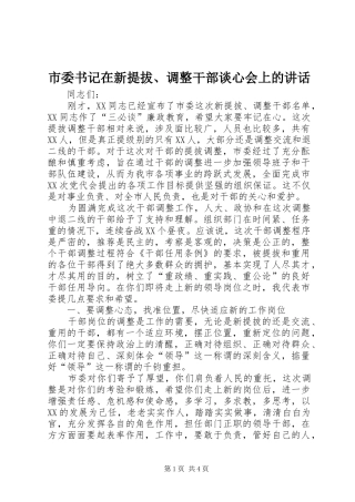 市委书记在新提拔、调整干部谈心会上的讲话发言
