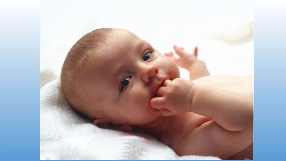 第三节人的生殖和胚胎发育-(2)_第1页