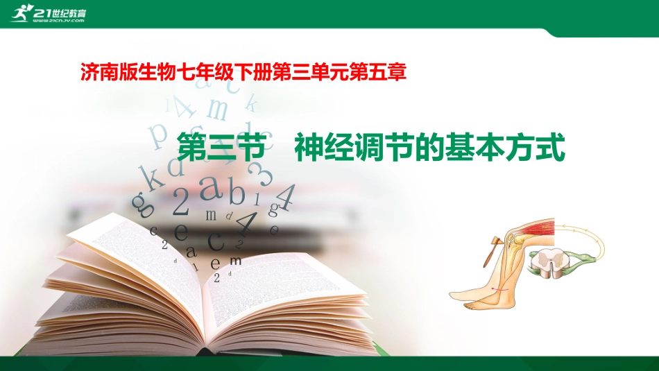 第三节-神经调节的基本方式_第2页
