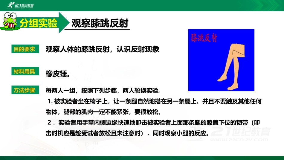 第三节-神经调节的基本方式_第3页