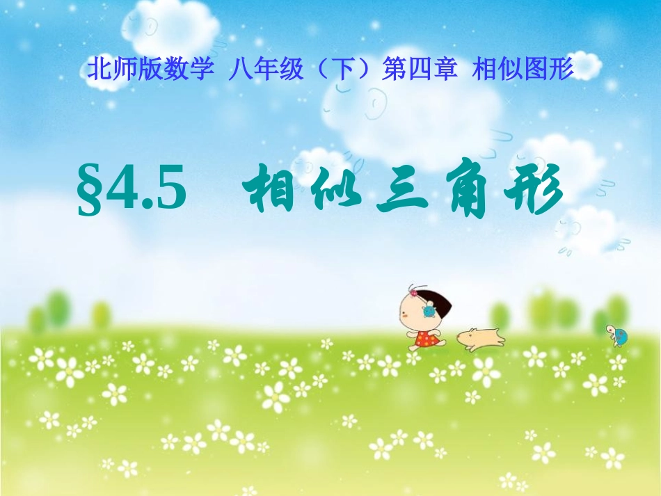 相似多边形-(2)_第1页