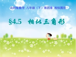 相似多边形-(2)