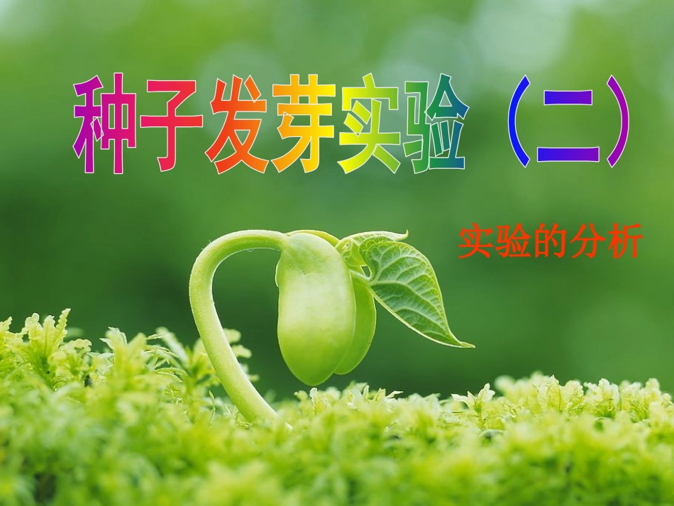 种子发芽实验(二)_第1页