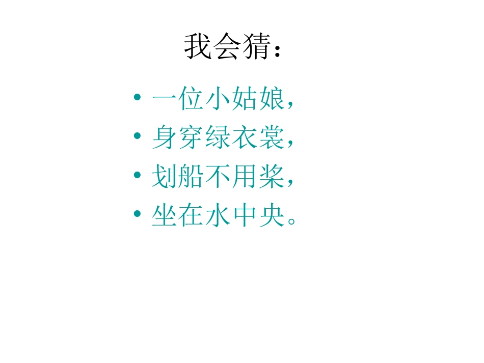 《荷叶圆圆》PPt_第2页