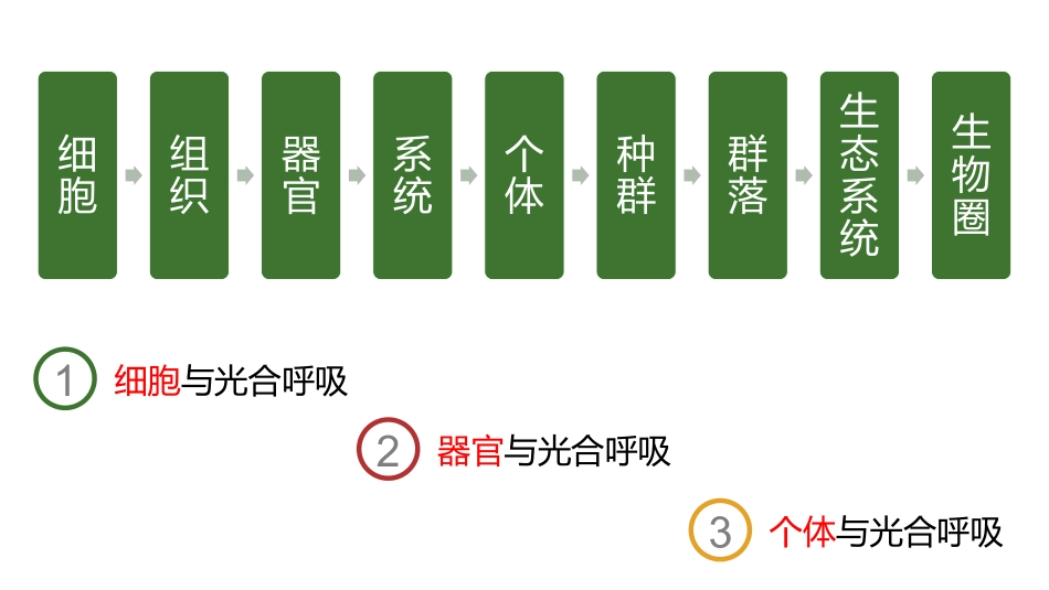 三细胞呼吸在生产、生活中的应用_第3页