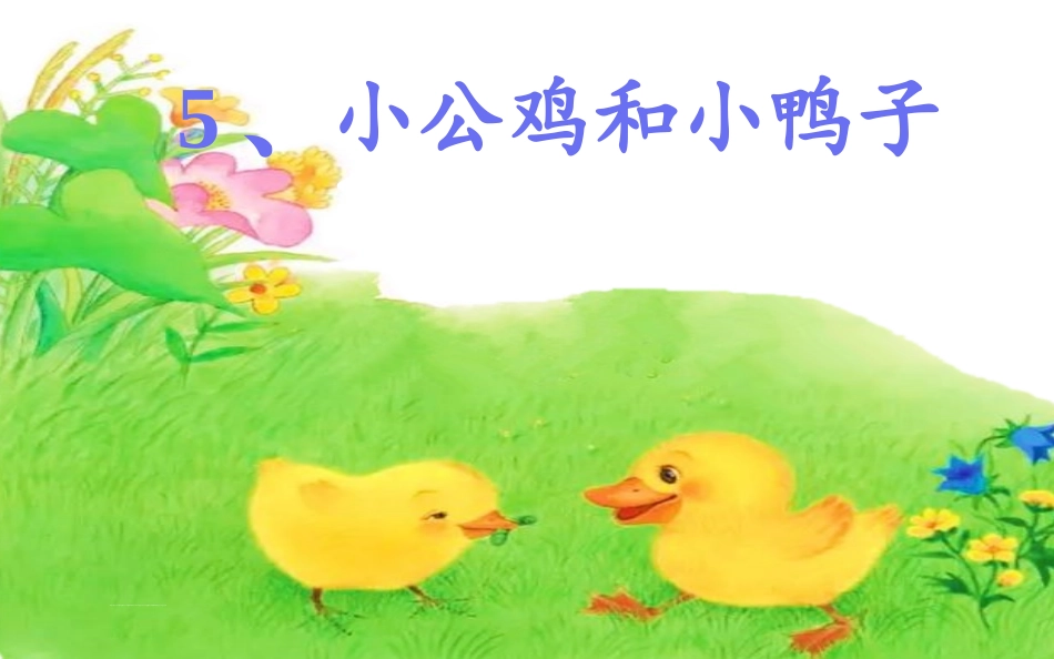 5小公鸡和小鸭子_第1页
