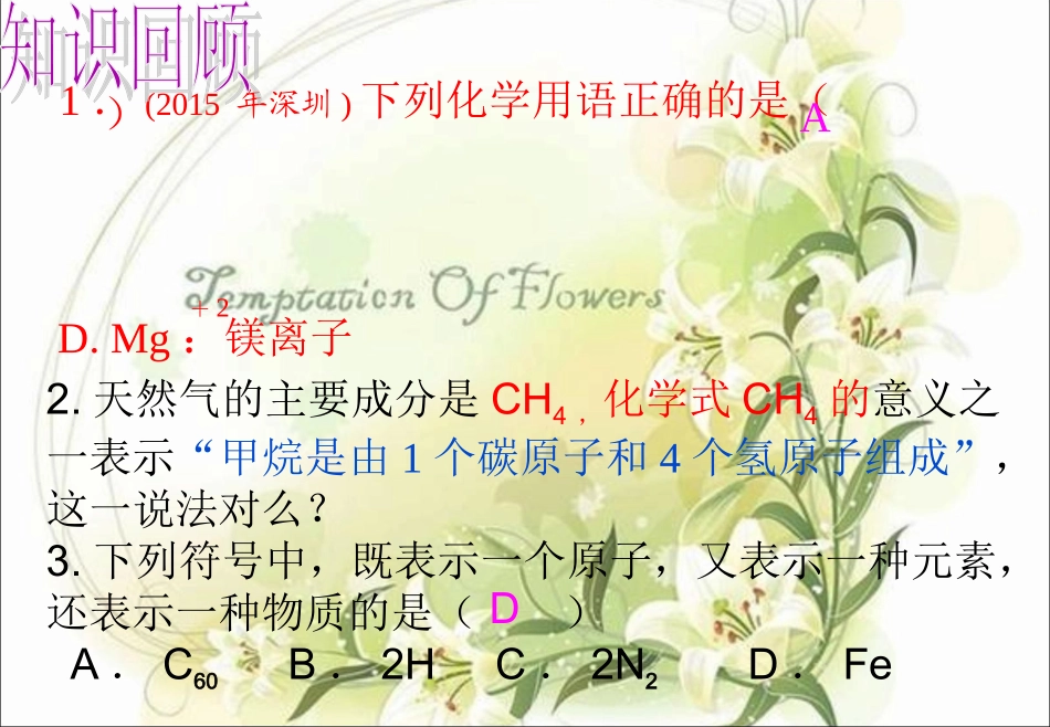 课题4-化学式与化合价_第2页