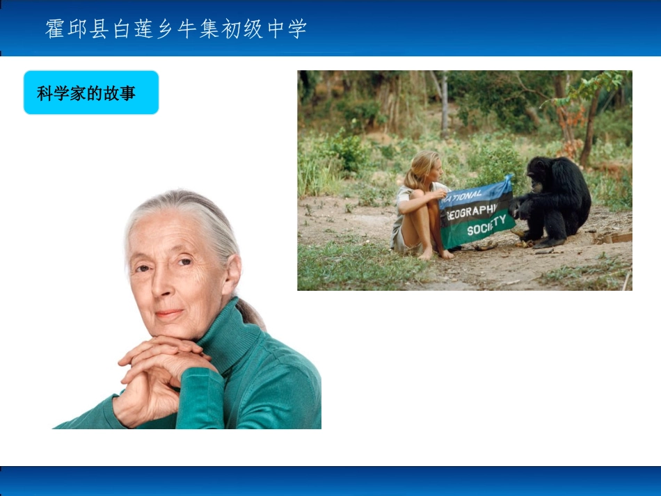 科学家的故事-珍妮·古道尔和黑猩猩交朋友_第3页