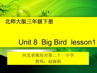 Unit8Bigbird!