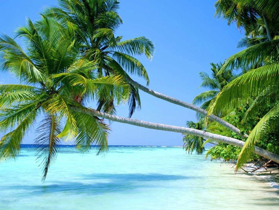 课题4爱护水资源-(4)_第3页