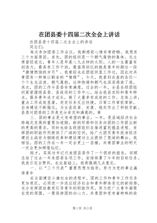 在团县委十四届二次全会上讲话发言