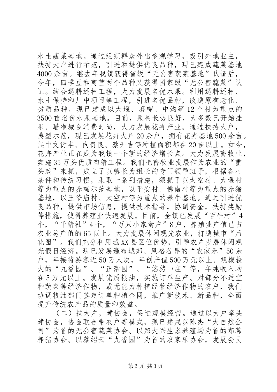 依托城市谋发展打造特色奔小康(镇长的讲话发言材料)_第2页