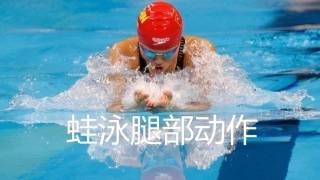 第十节游泳运动