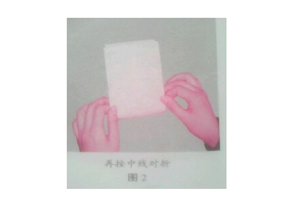 12.立体纸艺的设计与制作-(2)_第2页