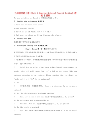 九年级英语上册《Unit 4 Amazing Science》Topic3 SectionD 教案 仁爱版