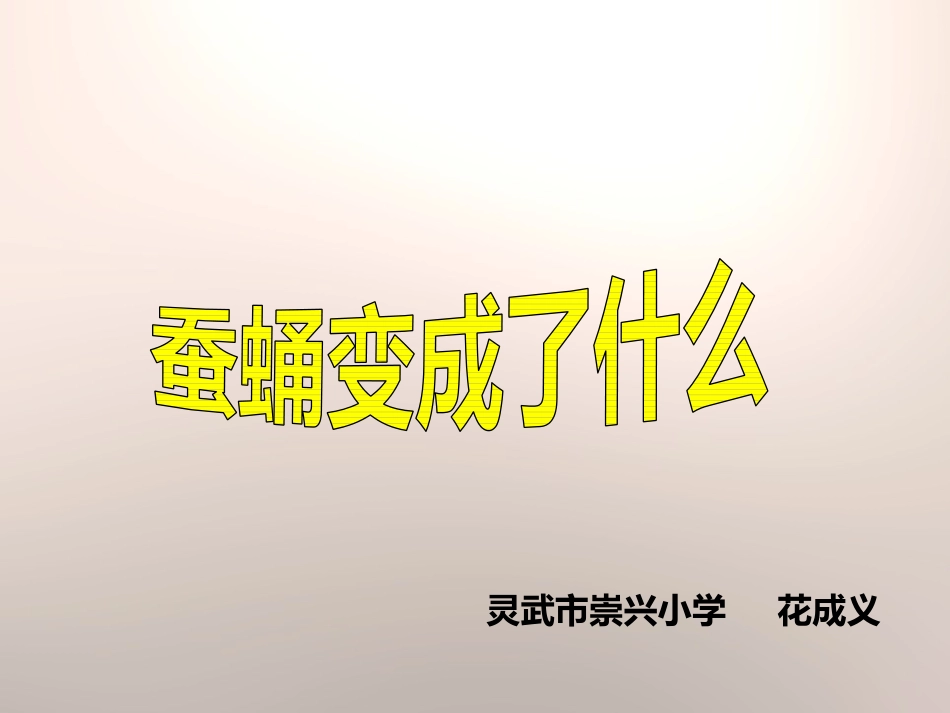 蚕的生长变化_第1页