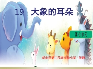 19大象的耳朵