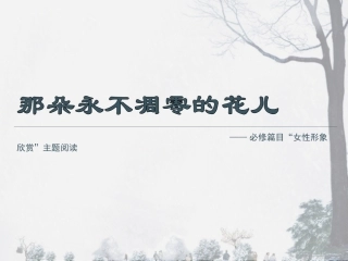 与文学经典对话