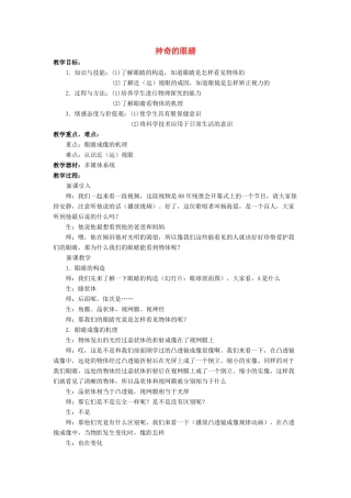 八年级物理全册 第四章 第六节《神奇的眼睛》教案3 （新版）沪科版-（新版）沪科版初中八年级全册物理教案