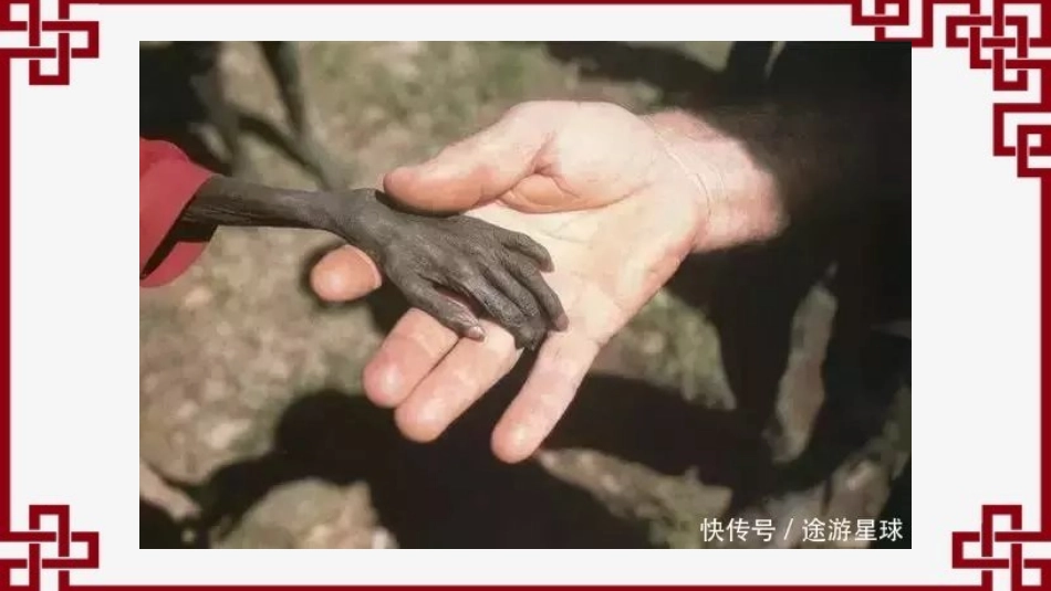 七、仁义礼智-我固有之_第2页