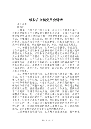 镇长在全镇党员会讲话发言