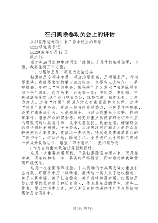在扫黑除恶动员会上的讲话发言