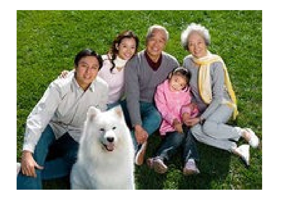 三年级下册英语课件-Unit-2-My-family-第二课时-人教PEP(2014秋)_第3页