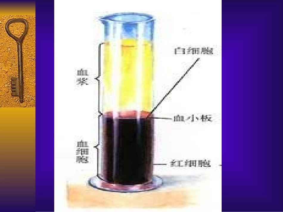 七年级生物流动的组织2_第2页