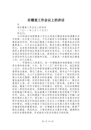 在稽查工作会议上的讲话发言