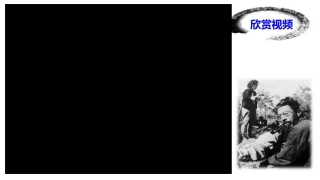 13最后一次讲演