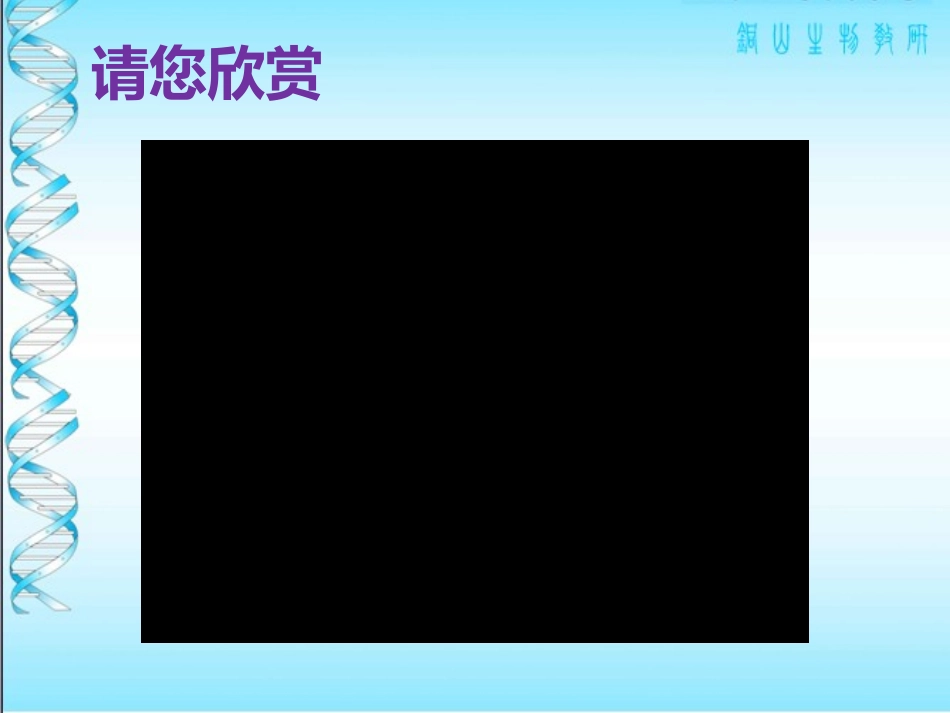 第2节水中的藻类植物-(2)_第1页