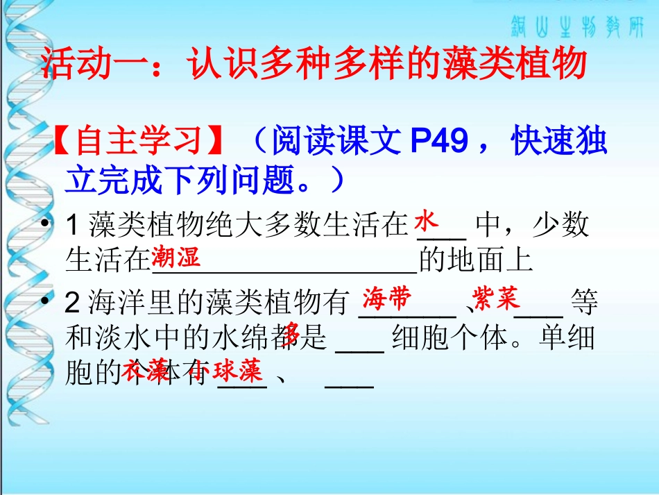 第2节水中的藻类植物-(2)_第3页