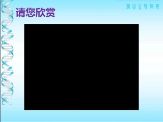 第2节水中的藻类植物-(2)