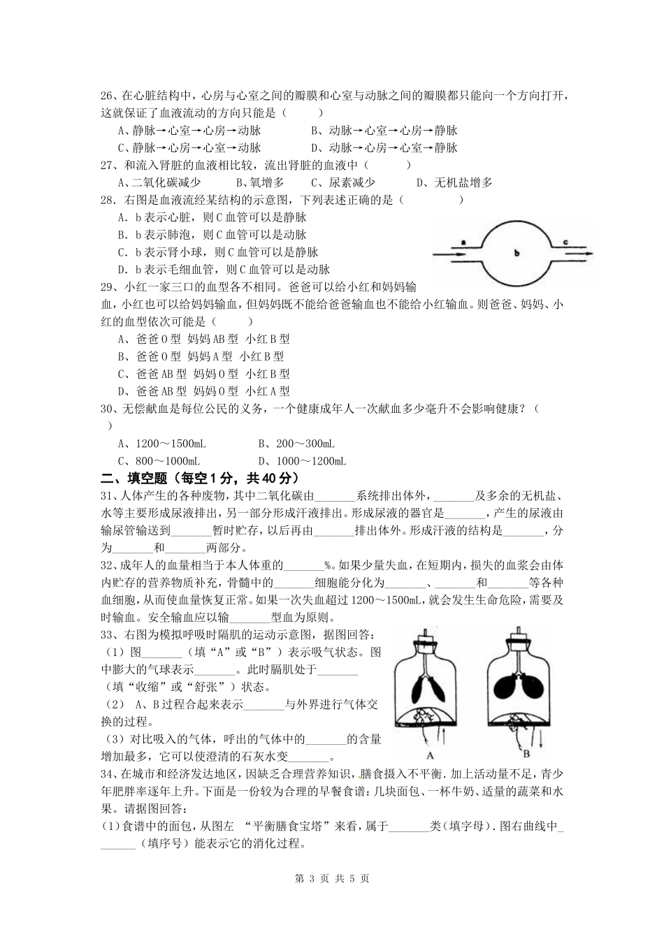 第一节认识我们身边的植物和动物_第3页