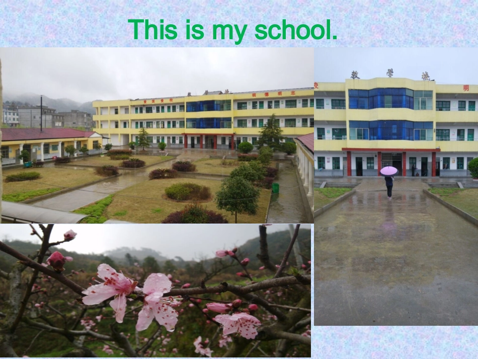 module7-what's-this_第3页