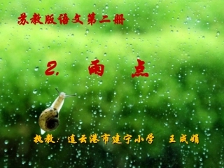 2苏教版一下《雨点》