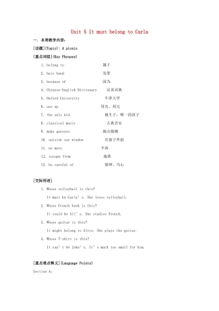 九年级英语全册 Unit 5 It must belong to Carla教案1 人教新目标版-人教新目标版初中九年级全册英语教案