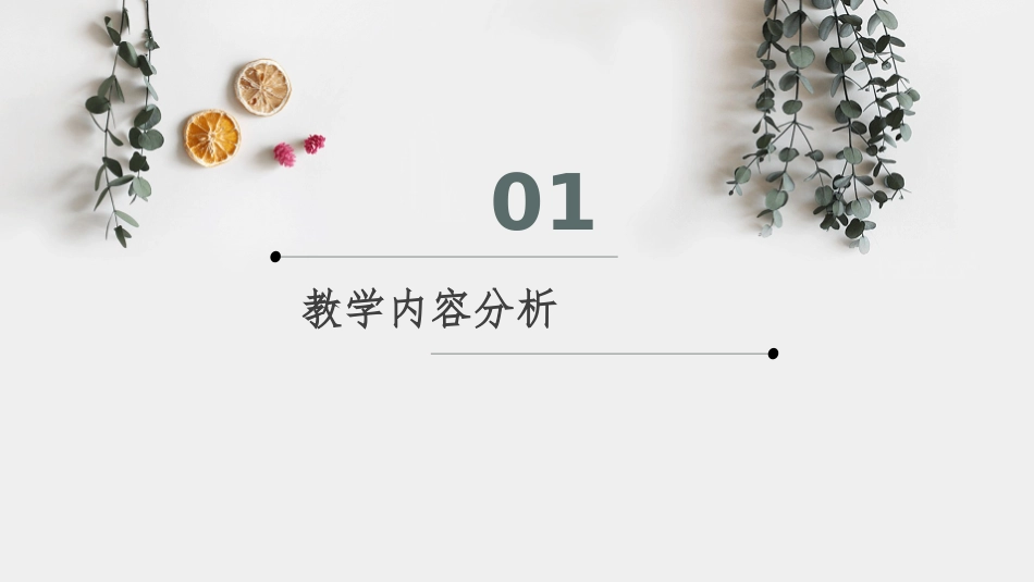 第一单元《小数乘法》教材分析(1)_第3页