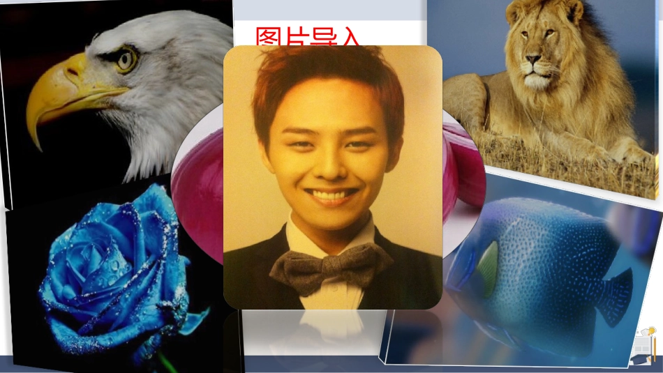 第1节生物体的基本结构-(4)_第3页