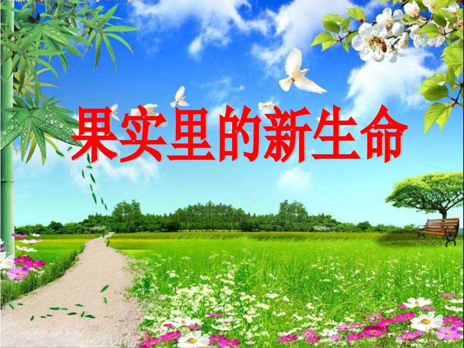 果实里的新生命_第1页