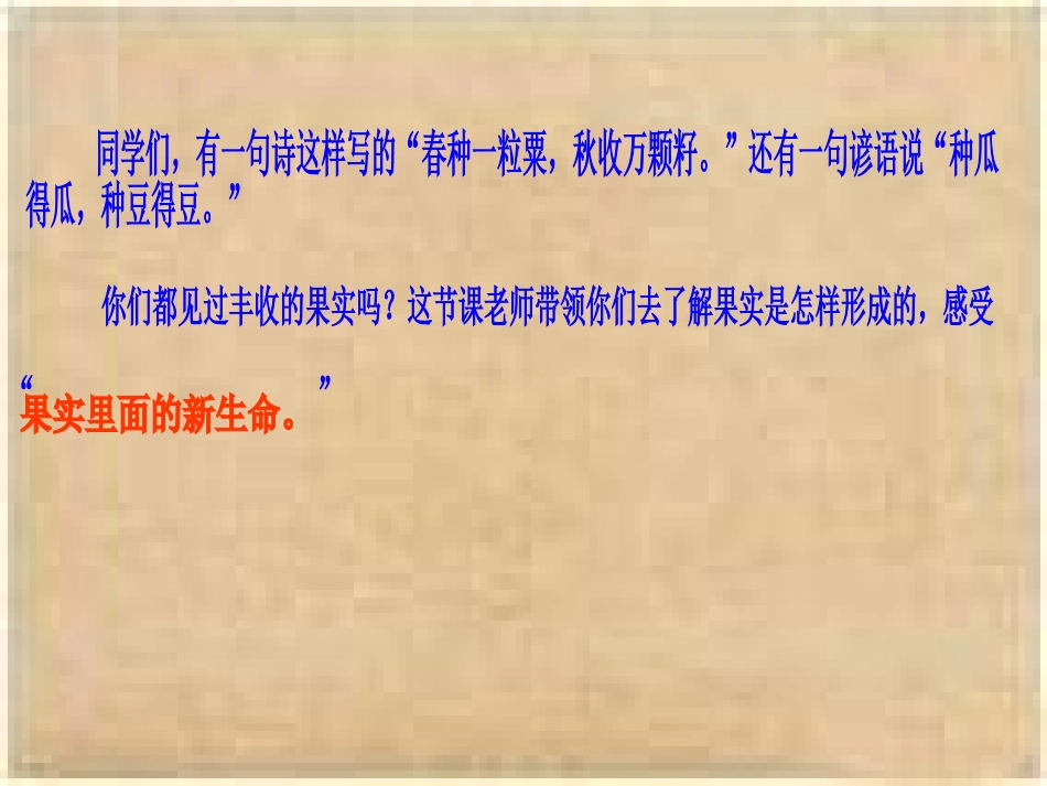 果实里的新生命_第2页