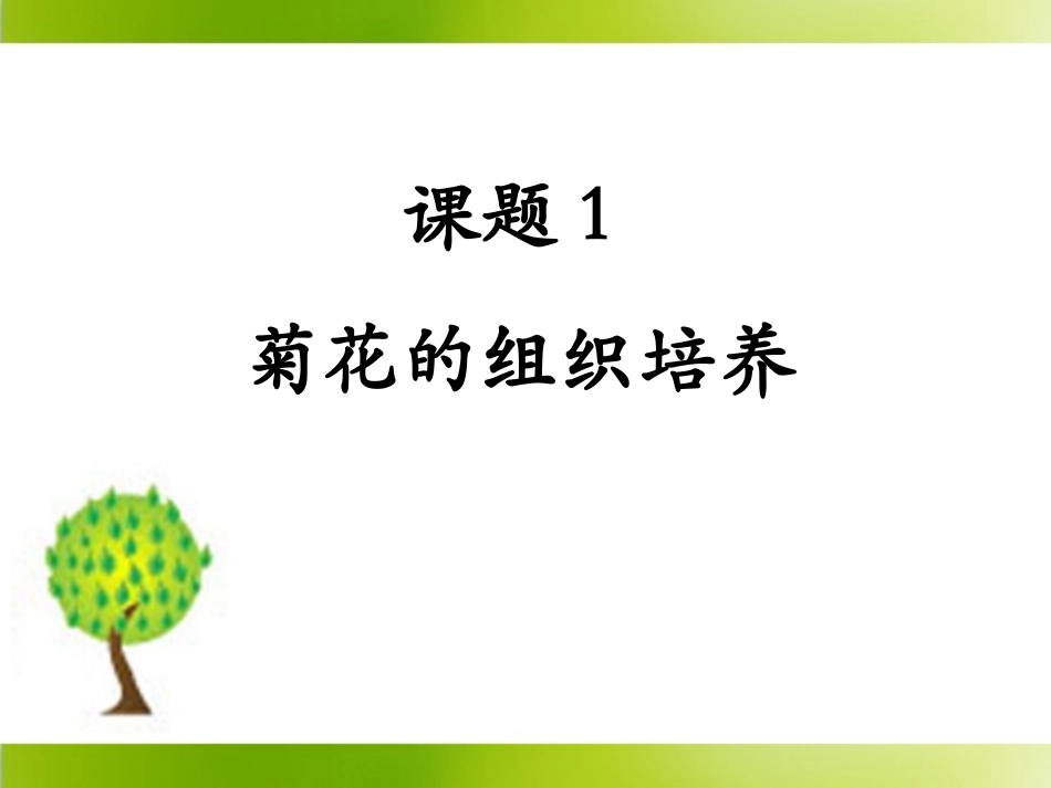 《菊花的组织培养》参考课件_第1页