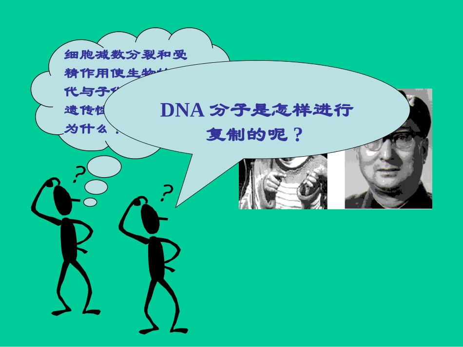 三从分子水平上研究遗传物质_第2页