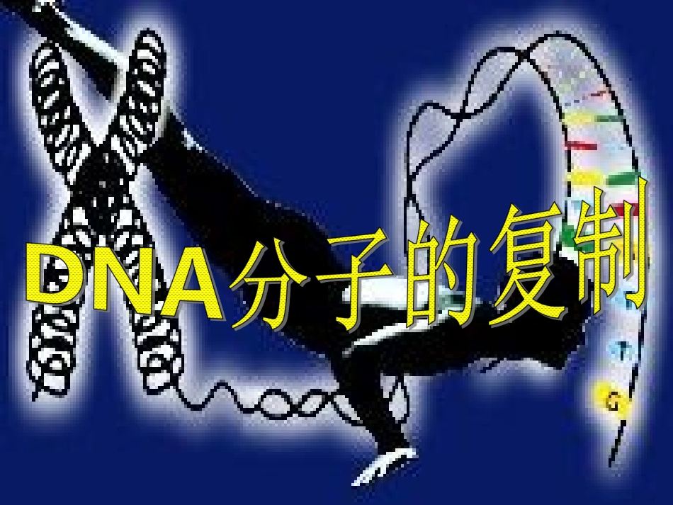 三从分子水平上研究遗传物质_第3页