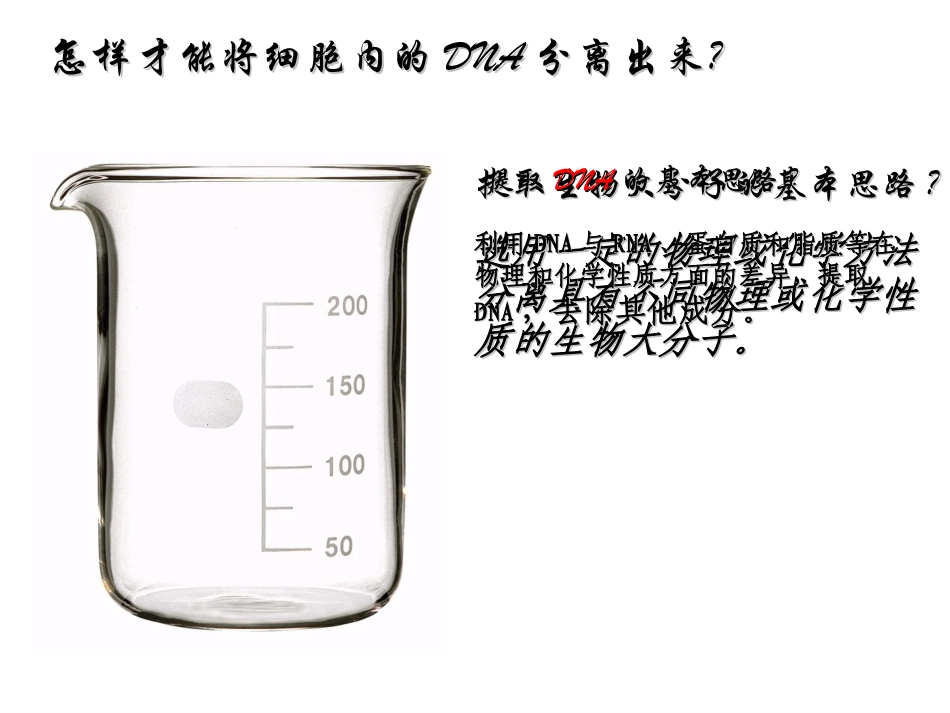 提取和鉴定DNA_第3页