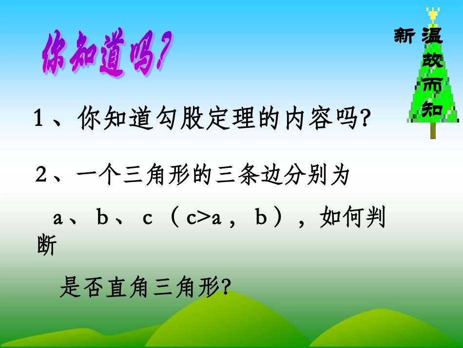 1.3勾股定理的应用_第2页