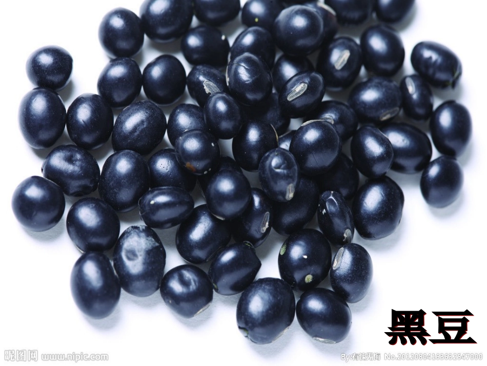 10.小蝌蚪_第3页